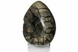 Septarian Dragon Egg Geode ( Lbs) - Black Crystals #124502-3